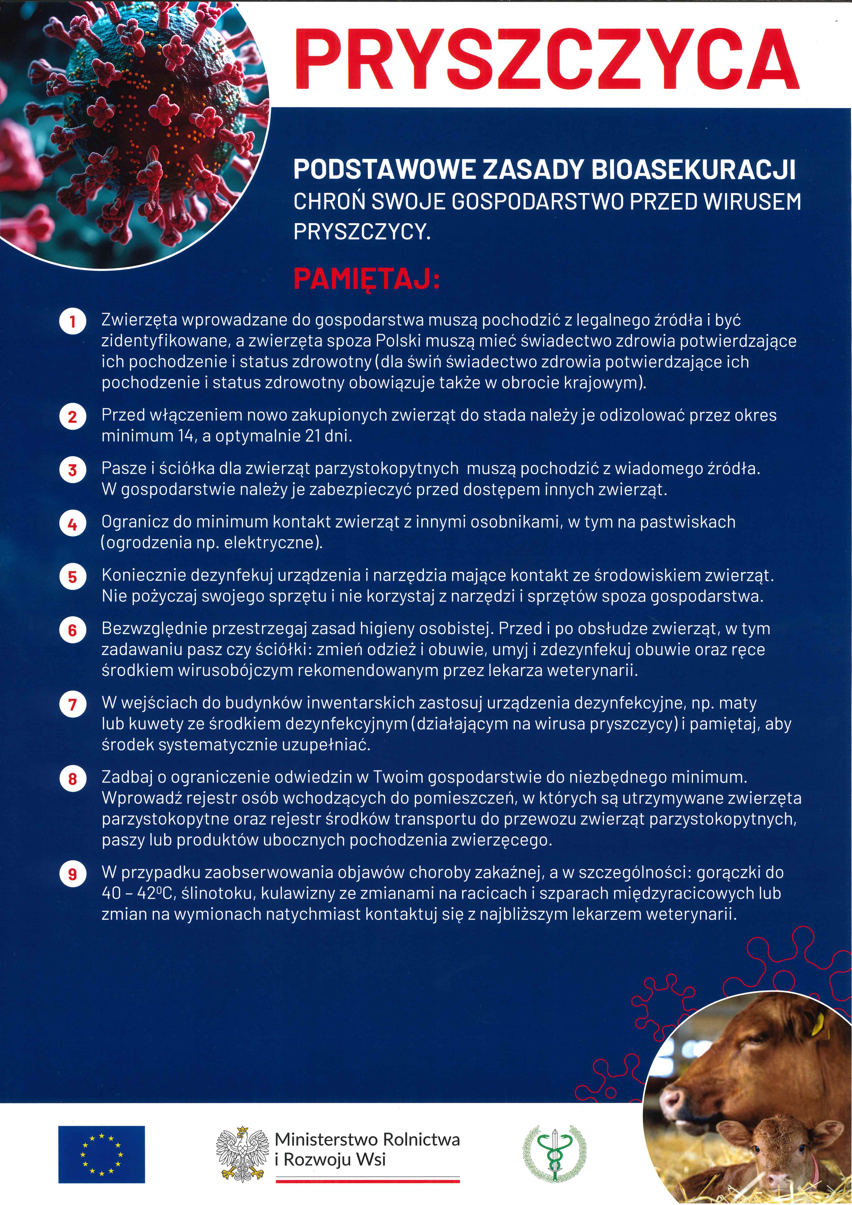 Uwaga! Pryszczyca!