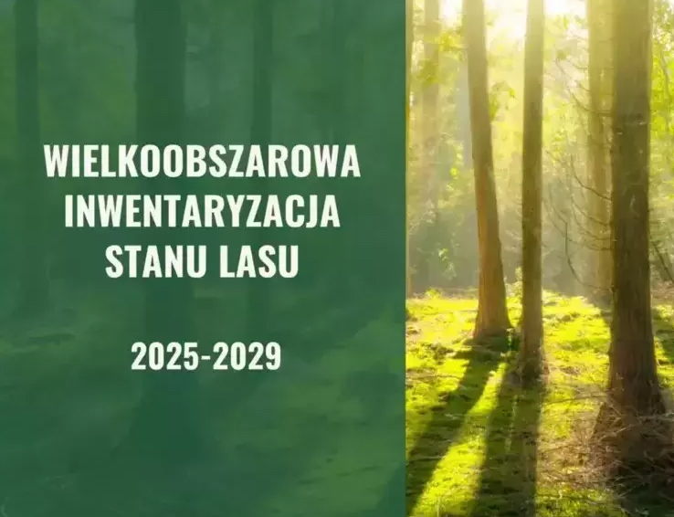 Wykonanie Wielkoobszarowej Inwentaryzacji Stanu Lasu w kraju w latach 2025-2029