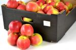Darmowe jabłka dla mieszkańców - <b>zmiana terminu dostawy</b>